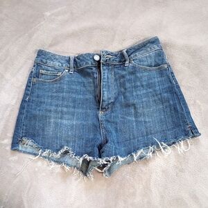 Paige Jeans Margot High Rise Raw Hem Shorts 28 6